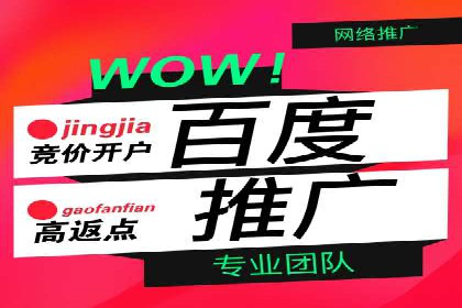 百度竞价代理操作手册：成功案例分析